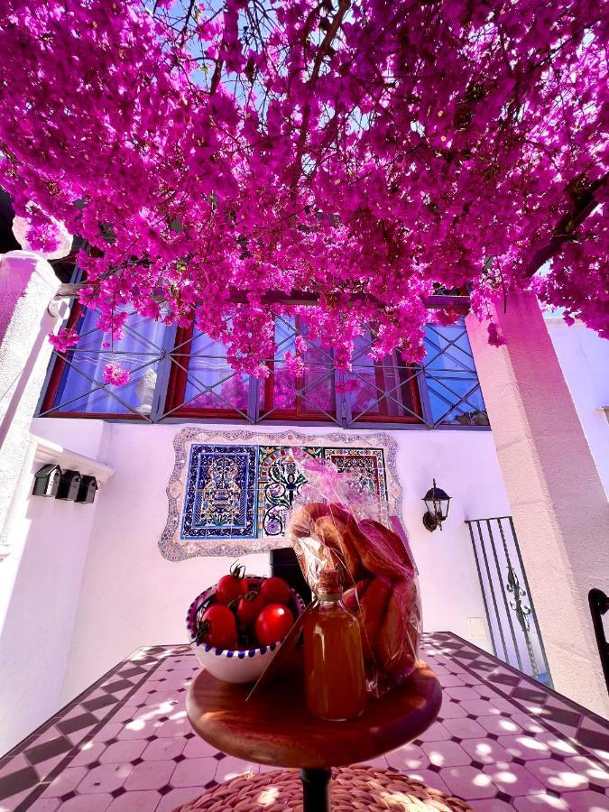 Le Dimore In Piazzetta 마사프라 외부 사진