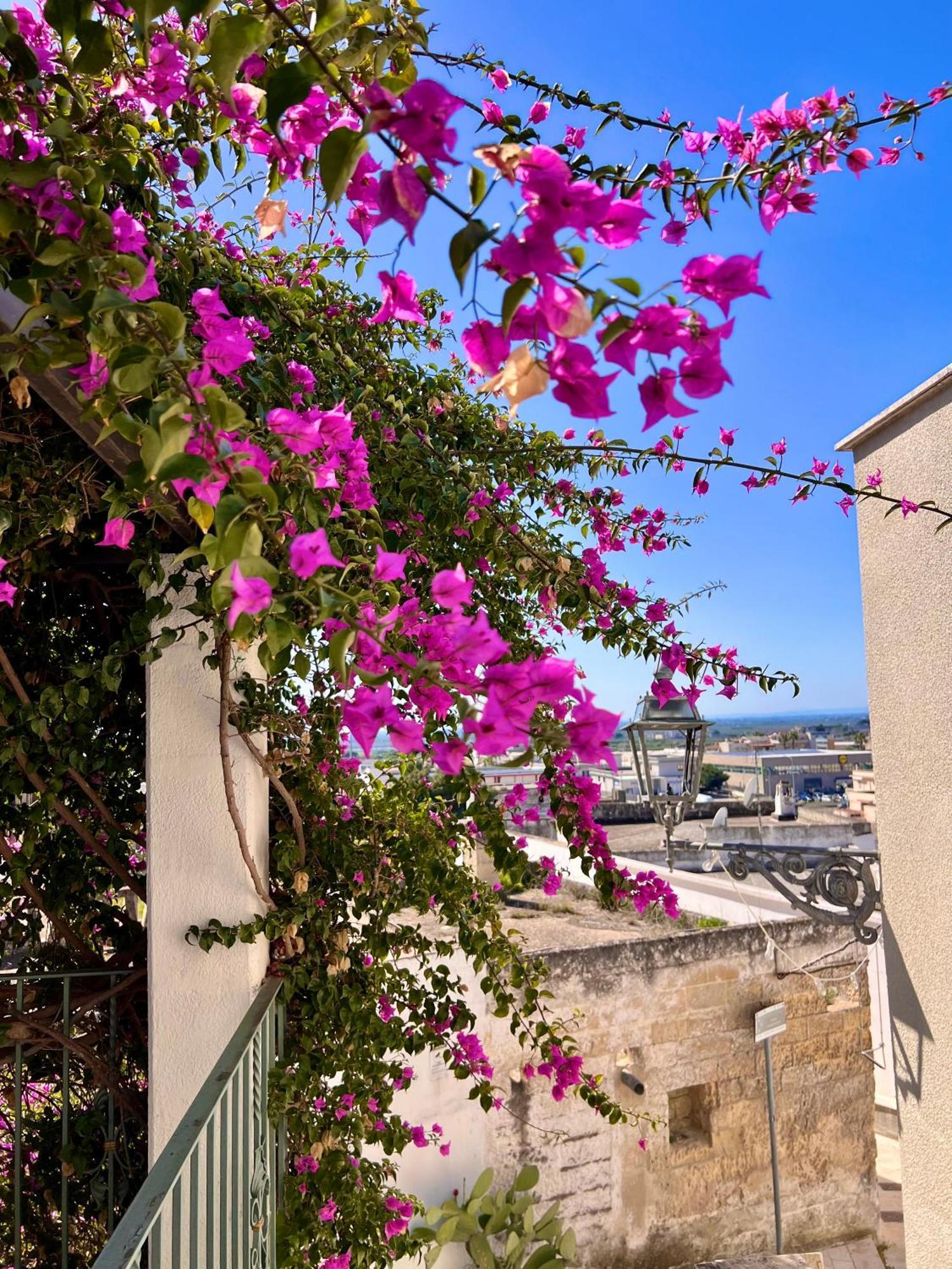 Le Dimore In Piazzetta 마사프라 외부 사진